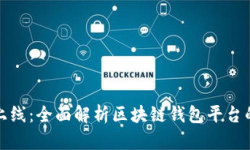 从构思到上线：全面解析区块链钱包平台的开发流程