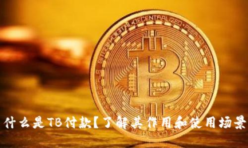 什么是TB付款？了解其作用和使用场景