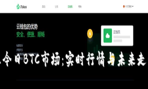 : 洞悉今日BTC市场：实时行情与未来走势分析