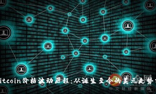 : Bitcoin价格波动历程：从诞生至今的美元走势分析