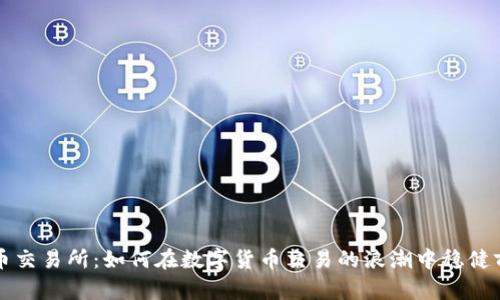 热币交易所：如何在数字货币交易的浪潮中稳健前行