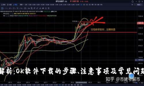 全面解析：OK软件下载的步骤、注意事项及常见问题解答