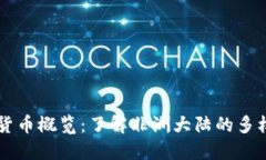 非洲各国货币概览：了解非洲大陆的多样货币体