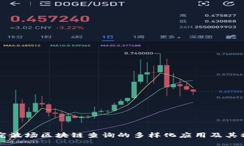 深入探究波场区块链查询的多样化应用及其操作指南