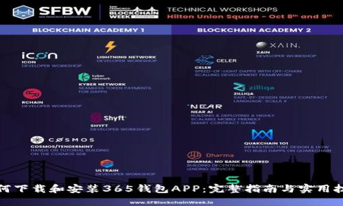 如何下载和安装365钱包APP：完整指南与实用技巧