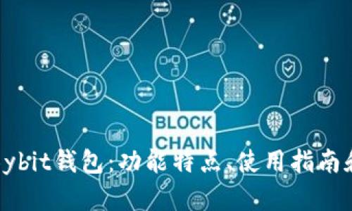 深度解析Bybit钱包：功能特点、使用指南和安全策略