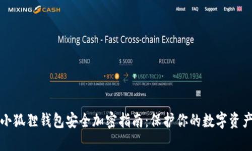 小狐狸钱包安全加密指南：保护你的数字资产