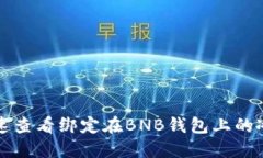 如何快速查看绑定在BNB钱包上的冰币资产