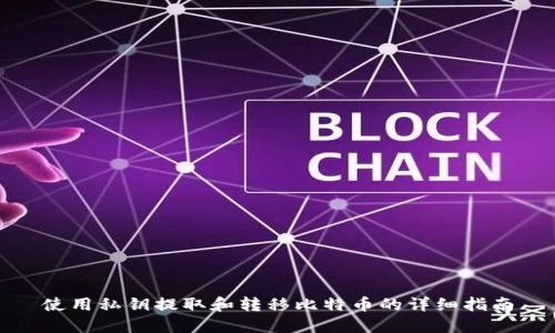 使用私钥提取和转移比特币的详细指南