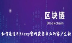 如何通过BitKeep官网获得专业的客户支持