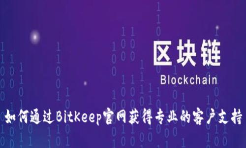 如何通过BitKeep官网获得专业的客户支持