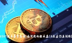 USDT提币异常查询：为何我的提币在10天后仍未到
