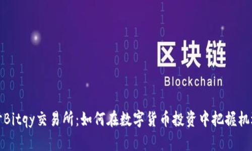 深入探讨Bitqy交易所：如何在数字货币投资中把握机遇与风险