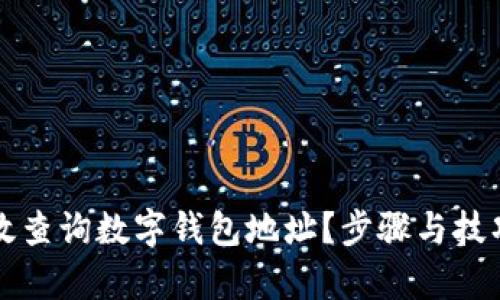 如何有效查询数字钱包地址？步骤与技巧全解析