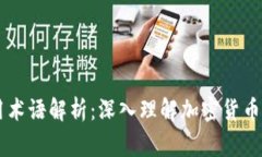 币圈大佬常用术语解析：深入理解加密货币世界