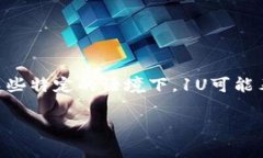 1U并不是标准的货币单位，通常人们在提到“U”