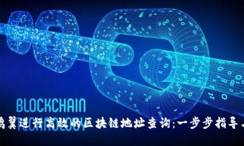 如何使用鸥翼进行高效的区块链地址查询：一步步指导与实用技巧