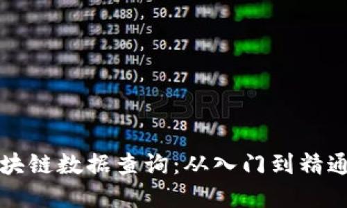 深入探索区块链数据查询：从入门到精通的完整指南