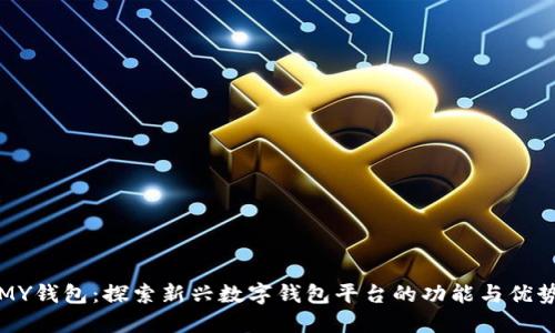 MY钱包：探索新兴数字钱包平台的功能与优势
