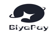 国际支付：掌握全球交易的新选择与挑战  国际支