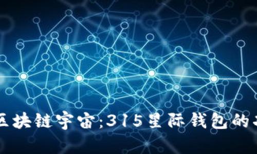 深入探索区块链宇宙：315星际钱包的功能与应用
