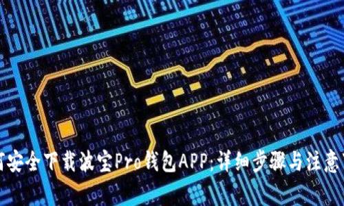 如何安全下载波宝Pro钱包APP：详细步骤与注意事项