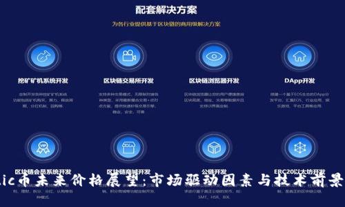 Matic币未来价格展望：市场驱动因素与技术前景分析