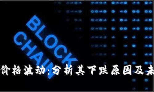 狗狗币价格波动：分析其下跌原因及未来走势