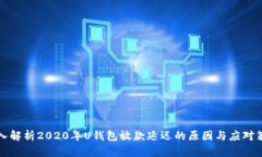 深入解析2020年U钱包放款延迟的原因与应对策略