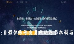 全面解析：自媒体账号交易网的运作机制与发展