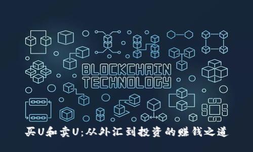 买U和卖U：从外汇到投资的赚钱之道