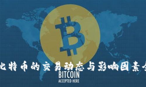 美元兑比特币的交易动态与影响因素全面分析