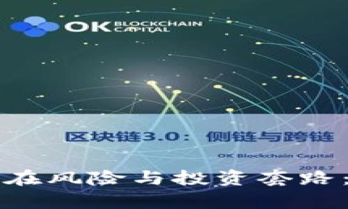 深入解析鼎道公链的潜在风险与投资套路：从历史背景到现实挑战