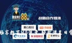 仅需5元，畅享数百MB流量，轻松满足日常上网需