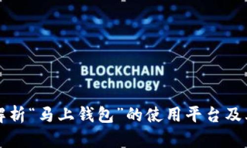 详细解析“马上钱包”的使用平台及其特点