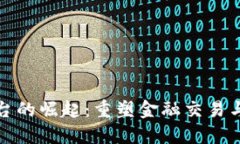 数字货币支付平台的崛起：重塑金融交易与经济