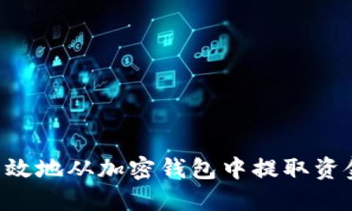 如何安全高效地从加密钱包中提取资金：详细指南