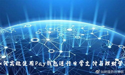 如何高效使用Pay钱包进行日常支付与理财管理