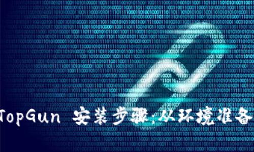 全面解析 TopGun 安装步骤：从环境准备到应用配置