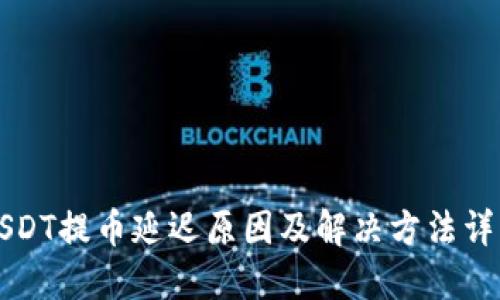 USDT提币延迟原因及解决方法详解