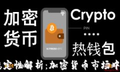 USDT的稳定性解析：加密货币市场中的避风港