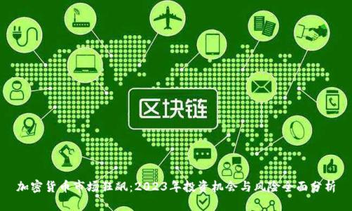 加密货币市场狂飙：2023年投资机会与风险全面分析