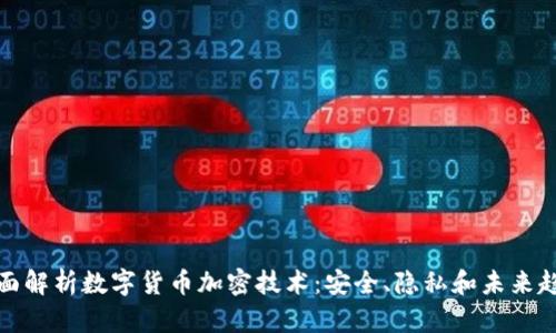 全面解析数字货币加密技术：安全、隐私和未来趋势