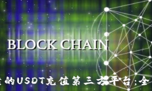   
如何选择安全可靠的USDT充值第三方平台：全面解析与使用指南