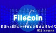 全面解析Pay国际支付：全球支付解决方案的时代
